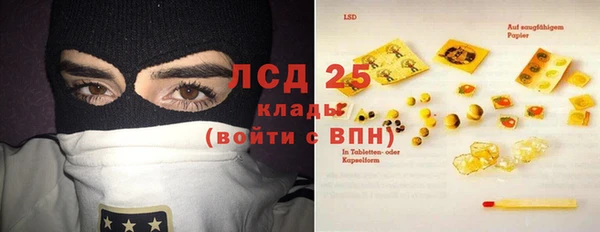 ГАЛЛЮЦИНОГЕННЫЕ ГРИБЫ Алексеевка