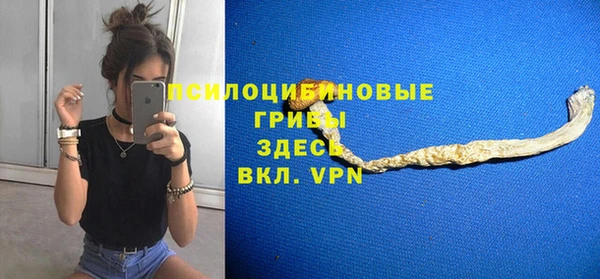 ГАЛЛЮЦИНОГЕННЫЕ ГРИБЫ Алексеевка