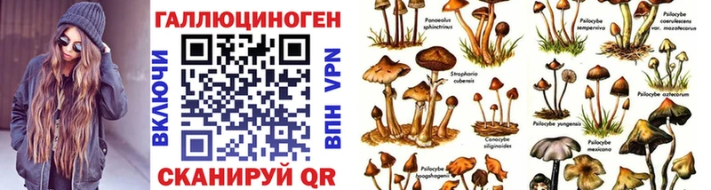 купить наркотик  Данков  Галлюциногенные грибы ЛСД 
